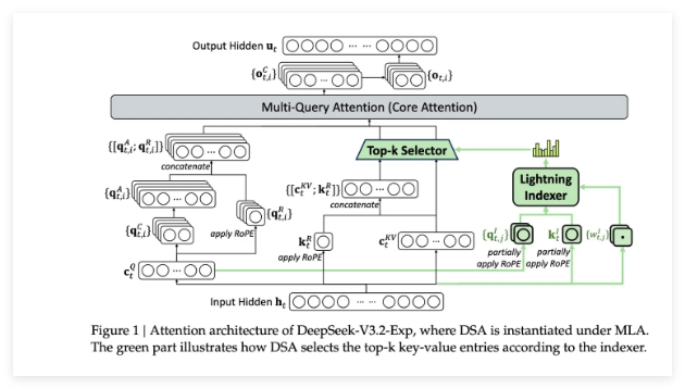 6389481939391510048978217 6389481939391510048978217